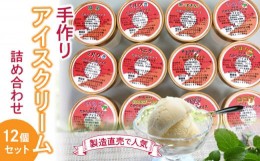 【ふるさと納税】M38-0002_製造直売で人気の手作りアイスクリーム12個セット