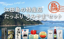 【ふるさと納税】島で自慢の特産品をセットでお届け！！江田島の恵みたっぷり うみやま セット〈江田島市観光協会〉江田島市 [XAI005]