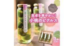 【ふるさと納税】食卓が華やぐ♪前菜やワインのお供に!桃のピクルス「小桃も桃も桃のうち」3本ギフト【1203884】