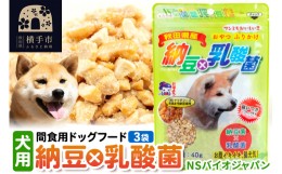 【ふるさと納税】間食用ドッグフード 納豆×乳酸菌（犬用）3袋 ゆうパケット