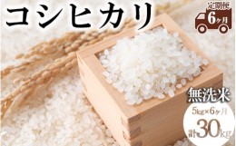 【ふるさと納税】《先行受付》【定期便6ヵ月】令和6年産 新米 コシヒカリ 無洗米 5kg×6ヵ月 計30kg | お米 白米 米 こめ コメ ご飯 ふる