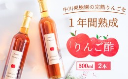 【ふるさと納税】《完熟りんご使用！》 りんご酢 500ml×2本セット 【 ビネガードリンク りんご ギフト 贈答 オリジナル 山形 りんご酢 