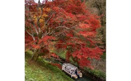 【ふるさと納税】【びわ湖疏水船：三井寺便】秋シーズン先行予約権（２名様分の先行予約の権利）