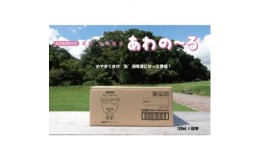 【ふるさと納税】薬用泡消毒液　あわの〜る＜消毒　アルコール　携帯用＞100mL×48本【1387600】