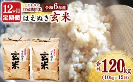 【ふるさと納税】【令和6年産 先行予約】《12回定期便：2024年10月開始》はえぬき 玄米 合計120kg（10kg（5kg×2袋）×12回） 山形県産 