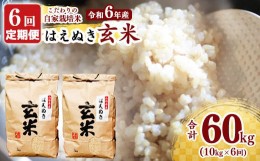 【ふるさと納税】【令和6年産 先行予約】《6回定期便：選べる配送時期》 はえぬき 玄米 合計60kg （10kg（5kg×2袋）× 6回） 山形県産 