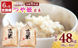 【ふるさと納税】【令和6年産 先行予約】《6回定期便：2024年10月開始》 つや姫 玄米 合計48kg（8kg（4kg×2袋）×6回） 山形県産 【 新