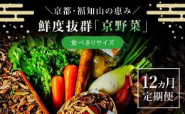 【ふるさと納税】【12ヵ月定期便】鮮度抜群「京野菜」　食べきりサイズ詰合せ  ふるさと納税 京野菜 野菜 新鮮 食べきり 詰合せ 定期便 1