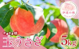 【ふるさと納税】福島県産 玉うさぎ 5kg 2024年8月下旬〜2024年9月上旬発送 先行予約 予約 新品種 たまうさぎ 固め 伊達の桃 桃 もも モ