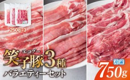 【ふるさと納税】【お試し】豚肉 小分け 真空パック 冷凍 スライス肉 3種 バラエティーセット 750g (250g×3袋)  炒め物/焼肉用(厚さ3mm)