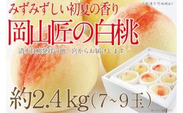 【ふるさと納税】【先行予約】CN49 白桃 匠の白桃 2.4kg（7〜9玉）｜岡山県産 一宮産 みずみずしい 季節の味 旬をお届け フレッシュ 晴れ