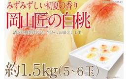 【ふるさと納税】【先行予約】CN50 白桃 匠の白桃 1.5kg 5〜6玉| 岡山県産 一宮産 みずみずしい 季節の味 旬をお届け フレッシュ 晴れの