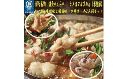 【ふるさと納税】【博多名物】鶏水炊き&もつ鍋2種(醤油味・みそ味)満腹食べくらべ 各2人前(計6人前)【大川市】