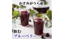 【ふるさと納税】かすみがうら市産　飲むブルーベリー　1L×2本【1481666】