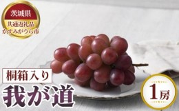 【ふるさと納税】No.624 【先行予約】我が道　桐箱入り1房【茨城県共通返礼品 かすみがうら市】 ／ 果物 葡萄 ぶどう 茨城県