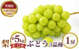 【ふるさと納税】No.651 【先行予約】梨 約5kg（8〜12個）とぶどう3品種×1房【茨城県共通返礼品 石岡市】 ／ 果物 なし ぶどう 茨城県