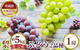 【ふるさと納税】No.649 【先行予約】梨 約5kg（8〜12個）とぶどう2品種×1房【茨城県共通返礼品 石岡市】 ／ 果物 なし ぶどう 茨城県