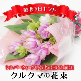 【ふるさと納税】【2024年 敬老の日】暑さに強い花　クルクマの花束　H092-050