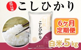 【ふるさと納税】6ヶ月定期便 近江米 こしひかり 白米５kg  BD16