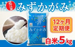 【ふるさと納税】12ヶ月定期便 近江米 みずかがみ 白米５kg BD23