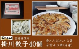 【ふるさと納税】１９６３　掛川餃子・餃子袋20入×２袋　計40個　ひょうたん