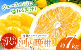 【ふるさと納税】訳あり 河内晩柑 約 7kg 後藤農園 | 柑橘 みかん 晩柑 河内晩柑  フルーツ 晩柑 ジューシー 河内晩柑 家庭用 和製 グレ