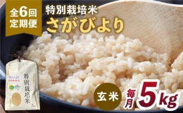 【ふるさと納税】【安心・安全な佐賀の米】＜全6回定期便＞特別栽培米「さがびより」玄米 5kg 【だいちの家】特A米 特A評価 [HAG029]