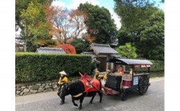 【ふるさと納税】特定非営利活動法人　いずみ観光牛車会（返礼品なし）