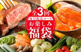 【ふるさと納税】泉佐野お楽しみ福袋 定期便 全3回 牛肉 ステーキ 海鮮 サーモン 野菜【毎月発送コース】 099Z158