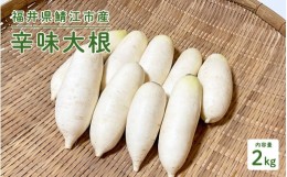 【ふるさと納税】おろしそばに最適! 福井県産 辛味大根 2kg[A-10204]