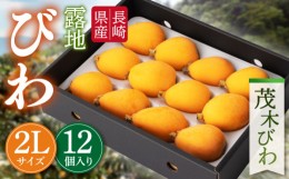 【ふるさと納税】【5月中旬〜6月中旬発送】長崎特産 露地びわ「茂木びわ」2L玉 12個入り 長崎市/大将農園 [LCS043]