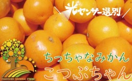 【ふるさと納税】＼光センサー選別／ちっちゃな有田みかんこつぶみかん約5kg （3S〜Sサイズ混合）有機質肥料100% 先行予約 みかん 温州み