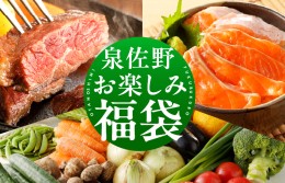 【ふるさと納税】泉佐野 お楽しみ 福袋（牛肉 ステーキ 海鮮 サーモン 野菜セット）【別送】 099S014