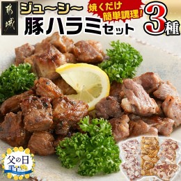 【ふるさと納税】【父の日】ジューシー豚ハラミ3種セット≪塩胡椒・味噌・にんにく醤油≫≪6月13日〜16日お届け≫_11-9202-FG