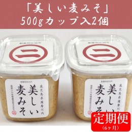 【ふるさと納税】DS-007 【6カ月定期便】美しい麦味噌 500gカップ入り×2×6回