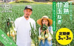 【ふるさと納税】【3ヶ月定期便】「追熟甘玉ねぎ」３kg