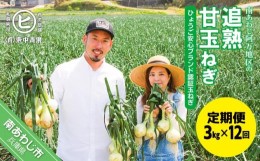 【ふるさと納税】【12ヶ月定期便】「追熟甘玉ねぎ」３kg