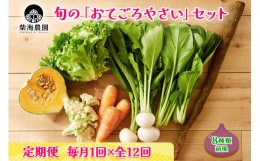 【ふるさと納税】[定期便 毎月12回お届け] 柴海農園 旬の「おてごろやさい」セット (8種類前後) [0226]