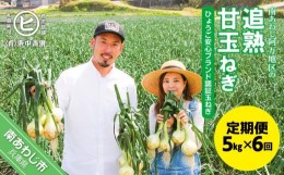 【ふるさと納税】【6ヶ月定期便】「追熟甘玉ねぎ」５kg