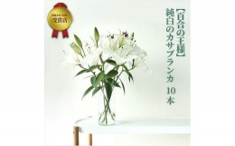 【ふるさと納税】【百合の王様】【未開花/長持ち】農林水産大臣賞を受賞したフローリストがアレンジする“純白のカサブランカ”【 花 お