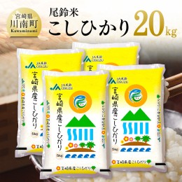 【ふるさと納税】【令和5年産】尾鈴農協産 白米「こしひかり」20kg【米 お米 白米 精米 2023年産 国産 宮崎県産 コシヒカリ】