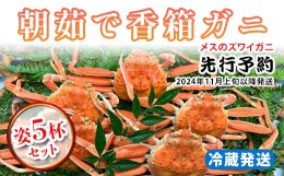 【ふるさと納税】【先行予約】【冷蔵発送】朝茹で香箱ガニ（メスのズワイガニ）姿5杯セット 2024年11月上旬以降発送｜石川県 加賀市  国