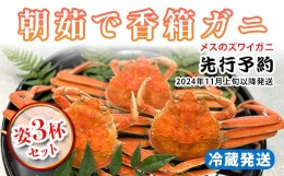 【ふるさと納税】【先行予約】【冷蔵発送】朝茹で香箱ガニ（メスのズワイガニ）姿3杯セット 2024年11月上旬以降発送｜石川県 加賀市  国