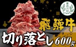 【ふるさと納税】【9月お届け】飛騨牛 切り落とし 600g 牛肉 和牛 肉 切落し ブランド牛 国産 10000円