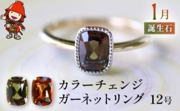 【ふるさと納税】誕生石 1月 カラーチェンジガーネット 指輪 リング 12号 レディース K18 PT900 プラチナ アクセサリー 婚約指輪 プロポ