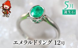 【ふるさと納税】誕生石 5月 エメラルド 指輪 リング 12号 レディース PT900 プラチナ アクセサリー 婚約指輪 プロポーズ 結婚指輪 誕生