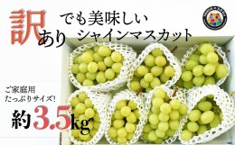 【ふるさと納税】【先行予約2024年/令和6年発送分】SDGs山梨県産シャインマスカット　3.5kg相当【訳アリ】【ご家庭用】