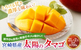 【ふるさと納税】＜宮崎県産 太陽のタマゴ 2L×2玉 (合計約700g)＞2024年5月中旬〜7月下旬迄に順次出荷