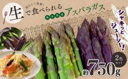 【ふるさと納税】生で食べれる ？ アスパラガス 2色 セット（ グリーン ・ パープル  ）約 750g ｜野菜 アスパラ ソムリエ 新鮮 健康 熊