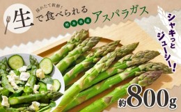 【ふるさと納税】生で食べれる ？ アスパラガス （ グリーン ）約 800g ｜ 野菜 アスパラ ソムリエ 新鮮 健康 熊本県産 熊本 玉名 くまも